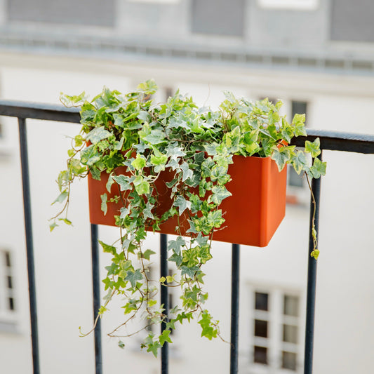 Balconnière Extra Terrasse ocre pour rambarde de balcon