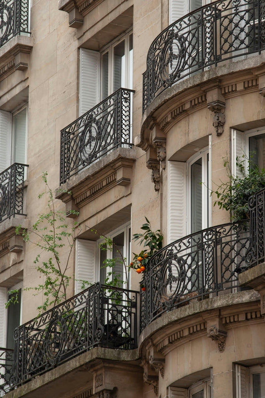 Façade d'immeuble parisien à balcons avec des plantes