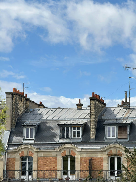 Vue sur les toits de Paris